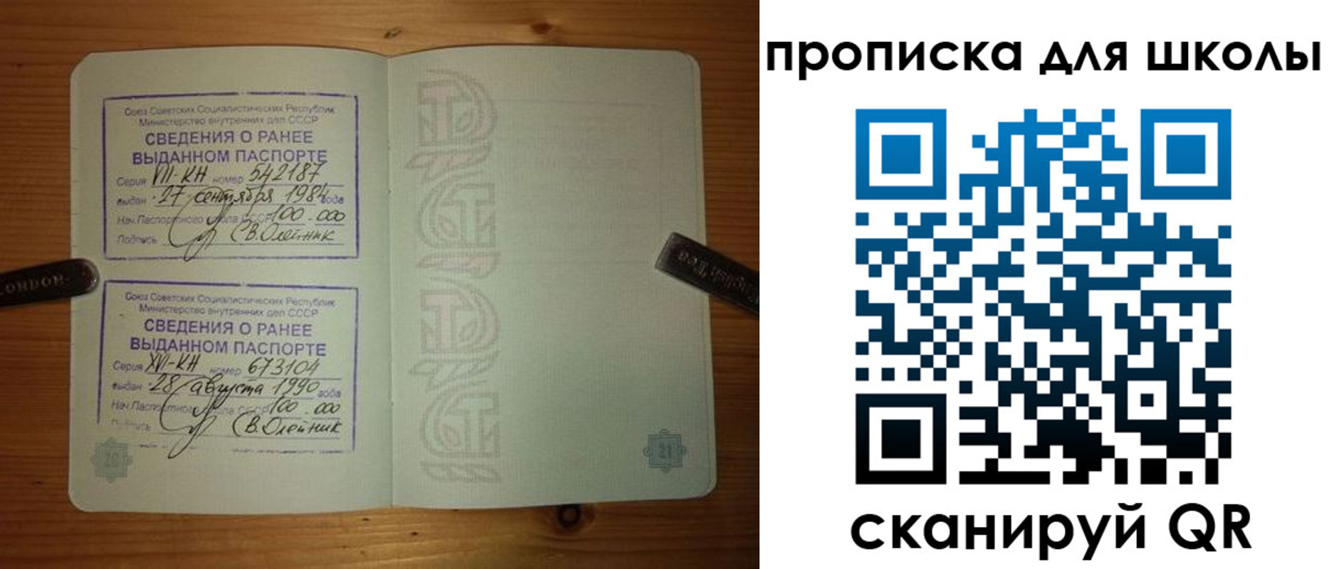 прописка для школы в Называевске